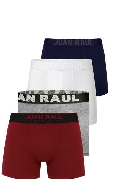 DeepSEA Büyük Beden 4'lü Boxer 2603118