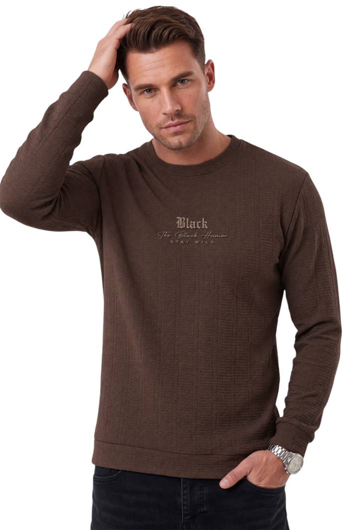 DeepSEA Erkek Slim Fit Likralı Çizgi Dokulu Sweatshirt – Bisiklet Yaka Nakışlı Spor Şık Sweat 2708518