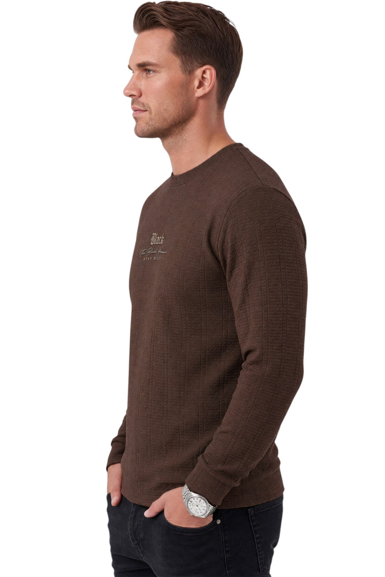 DeepSEA Erkek Slim Fit Likralı Çizgi Dokulu Sweatshirt – Bisiklet Yaka Nakışlı Spor Şık Sweat 2708518