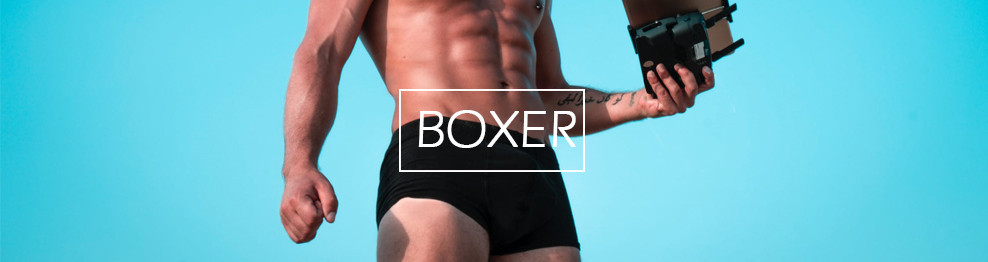 Boxer